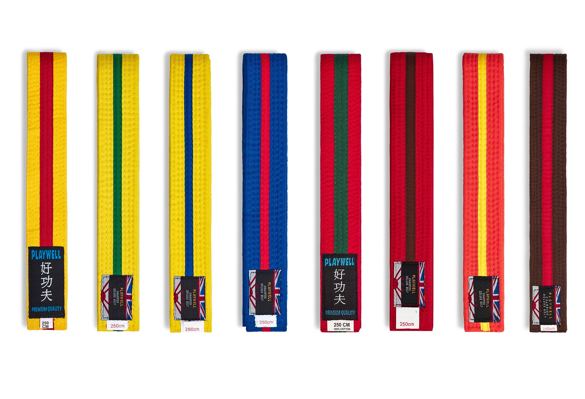 Belts: Black Belt with Coloured Striped