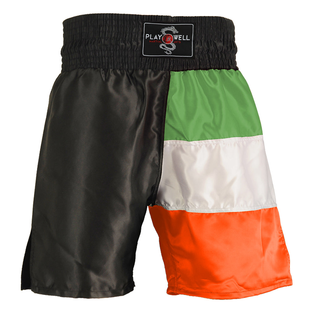 Boxing Competition Black Satin  Shorts - Ireland Flag Series