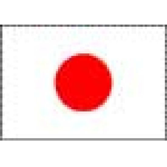 Japanese Flag